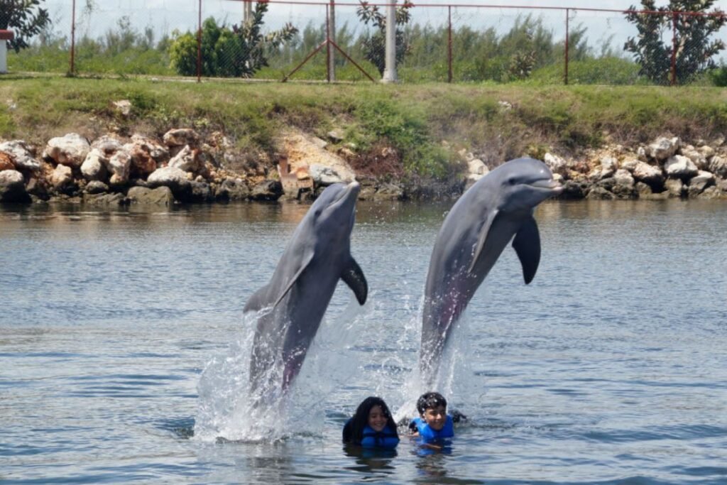 Niños Delfinario Varadero